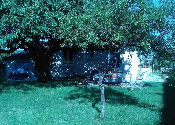Maison A 10Min Du Zoo De Beauval